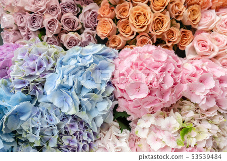Floral carpet or Wallpaper. Background of mix of flowers. Beautiful flower for catalog or online Floral carpet or Wallpaper. Background of mix of flowers. Beautiful flower for catalog or online 53539484