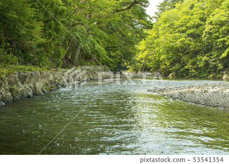 新鮮的綠色伊勢神宮五十鈴神社五十鈴河和宇宙的Midori紗布 新鮮的綠色伊勢神宮五十鈴神社五十鈴河和宇宙的Midori紗布 53541354