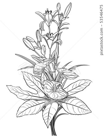 Bouquet Flowers Bouquet Flowers 53546475