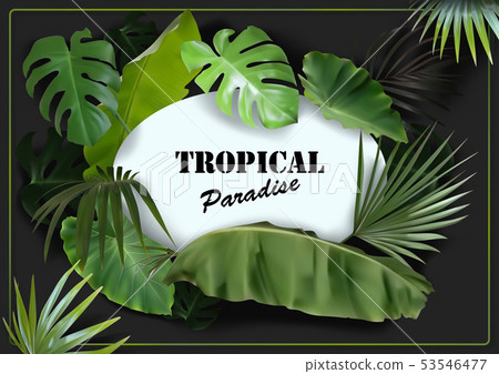 Green Tropical Leaves Background Green Tropical Leaves Background 53546477