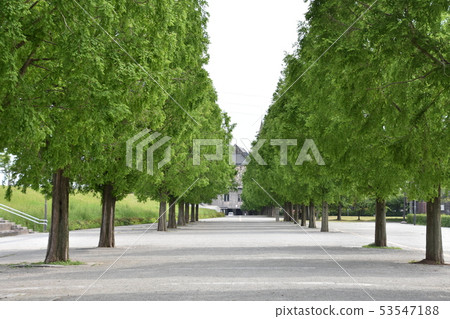 Maubachi Fureai Park Maubachi Fureai Park 53547188