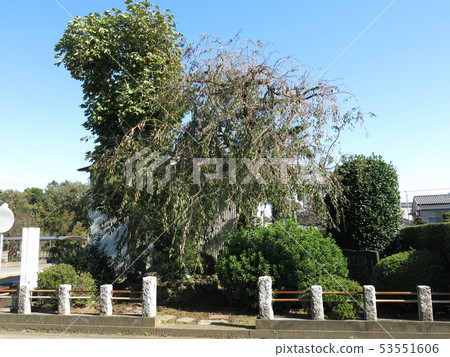富士見的巴巴（Hira Shomon歷史遺址）位於班多市 53551606