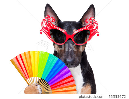 gay pride dog gay pride dog 53553672