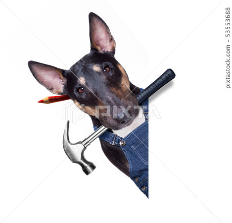 handyman dog with tool in mouth handyman dog with tool in mouth 53553688