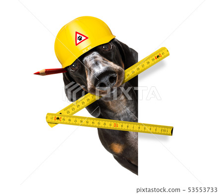 handyman worker hammer dog with helmet handyman worker hammer dog with helmet 53553733