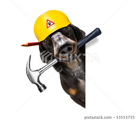 handyman worker hammer dog with helmet handyman worker hammer dog with helmet 53553735