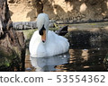 Swan 53554362