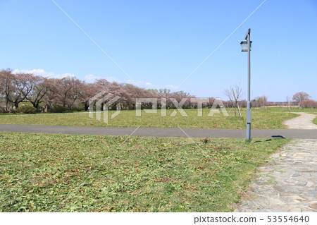 北上市公園展覽錦標賽區 北上市公園展覽錦標賽區 53554640