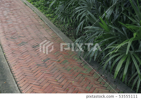 Stone path way in the garden Stone path way in the garden 53555111