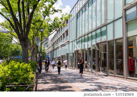 Fresh green Omotesando Fresh green Omotesando 53558969