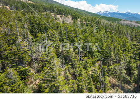 View from Kita Yatsugatake Ropeway: Mt. Shibira and Minami Yatsugatake Hadano City 53565736