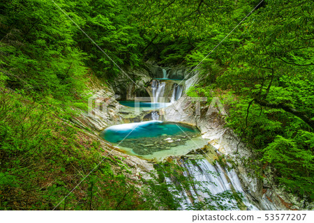 新鮮的綠色西澤谷七瀑布五步瀑布 53577207