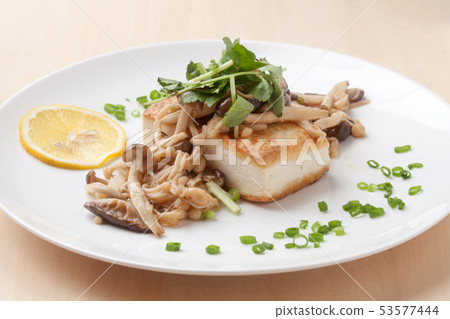 Tofu steak 53577444