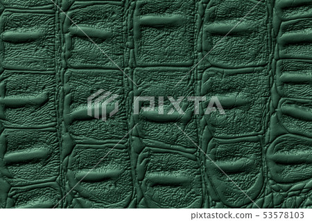 Dark green leather texture background, closeup. Dark green leather texture background, closeup. 53578103