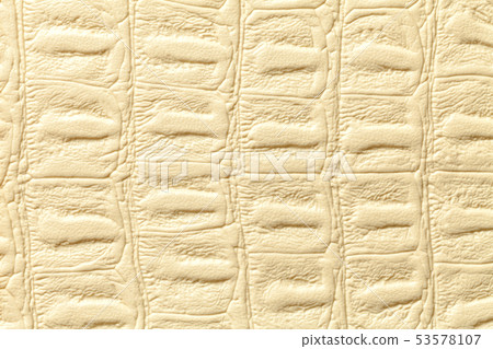 Light yellow leather texture background, closeup. Light yellow leather texture background, closeup. 53578107