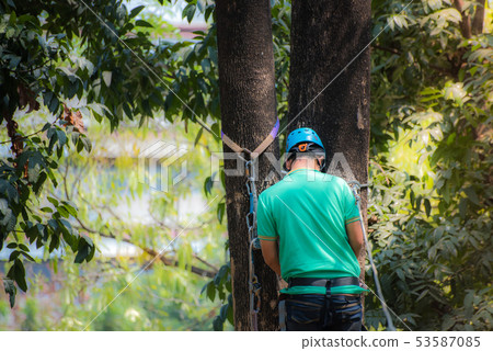 Back side of man on tree with helmet and belt 53587085