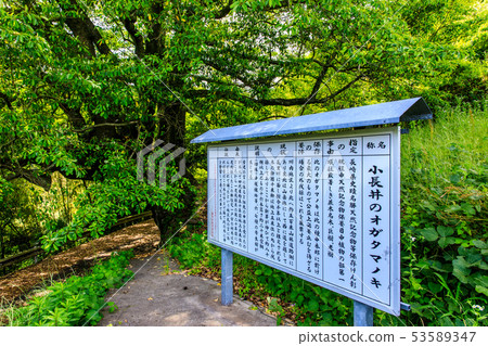 Konagai's Ogatamanaki [Onagaya Town, Nagasaki Prefecture] 53589347