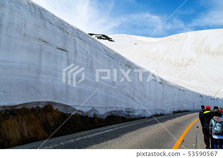 [富山]大谷雪漫步 53590567
