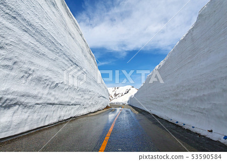 [富山]大谷雪漫步 53590584