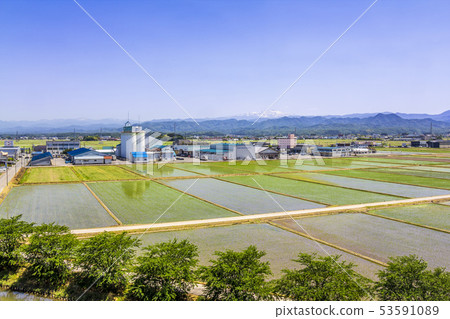 石川縣春天白山 53591089