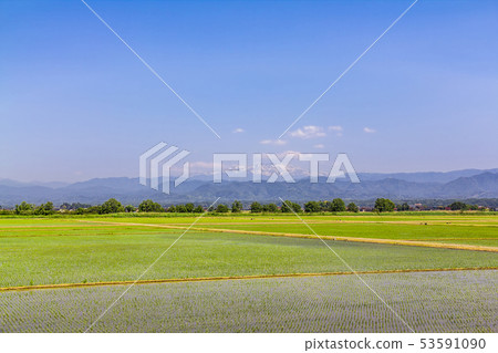 石川縣春天白山 53591090