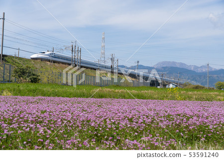 Spring scenery and Tokaido Shinkansen N700 series Spring scenery and Tokaido Shinkansen N700 series 53591240