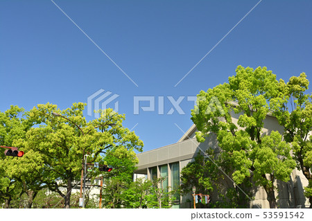 Kochi Kochi 53591542