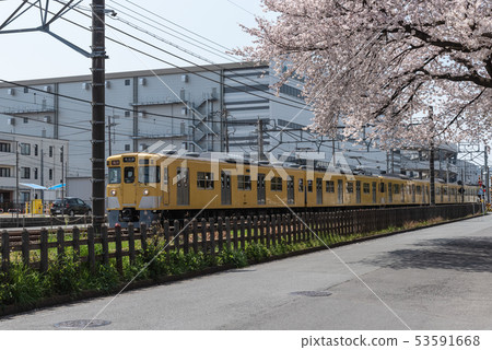 Seibu Shinjuku Line and Sakura 2000 series 53591668
