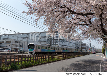 西武新宿線和櫻花系列30000（微笑列車） 53591678