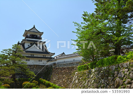 Japan's 100 Great Castles / Kochi Castle Japan's 100 Great Castles / Kochi Castle 53591993