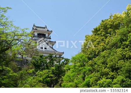 日本的100座大城堡/高知城堡 53592314