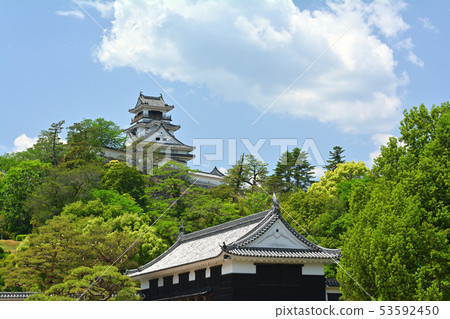 Japan's 100 Great Castles / Kochi Castle 53592450