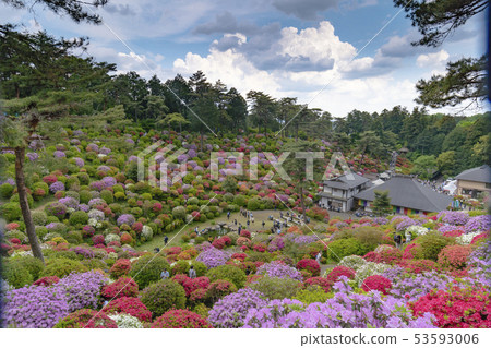 [花風景]鹽船觀音寺 53593006