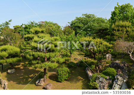 高知/五山 53593036