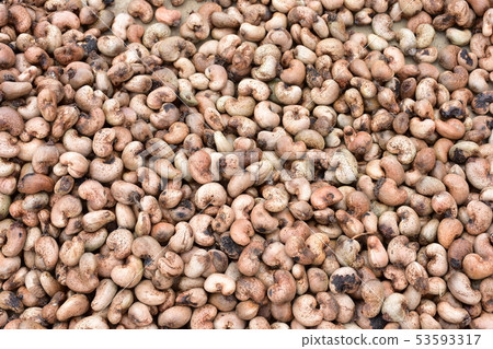 帶殼腰果 帶殼腰果 53593317