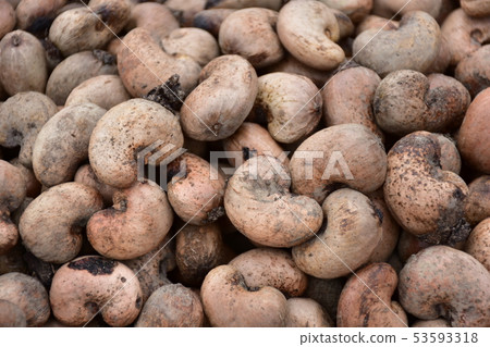 帶殼腰果 53593318