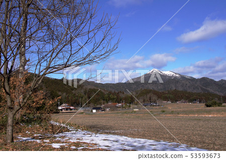 早春十種 53593673