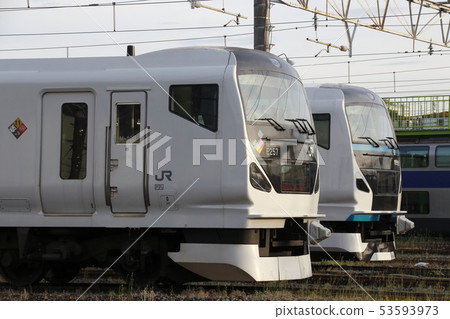 E257 series Azusa and E257 series dancers 53593973