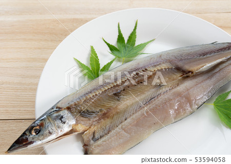 Open saury Open saury 53594058