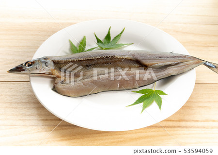 Open saury Open saury 53594059