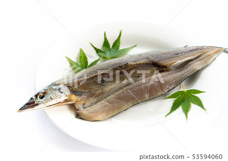 Open saury Open saury 53594060