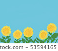 Sunflower and sky 53594165