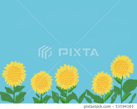 Sunflower and sky 53594165