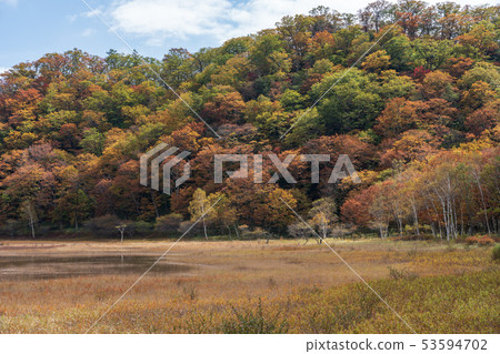 Nikko，Tochigi Oku Nikko Odadaihara（十月） 53594702