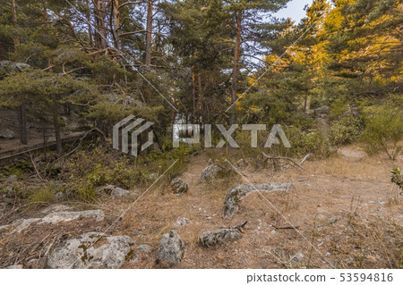 Pine forest on mountain slope and stream. Madrid 53594816