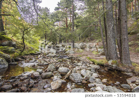 stream in the sierra de guadarrama. Madrid Spain 53594818