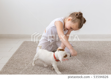 Pet, childhood and animal concept - Little child girl playing on the floor with puppy Jack Russell Pet, childhood and animal concept - Little child girl playing on the floor with puppy Jack Russell 53594826