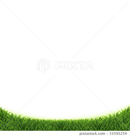 Green Grass Isolated White Background 53595254
