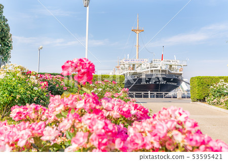 Kanagawa Prefecture Yokohama Yamashita Park Future Rose Garden 53595421