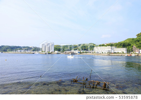 Uraga (early summer) 53595878